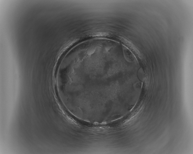 X0000112750721200908201417