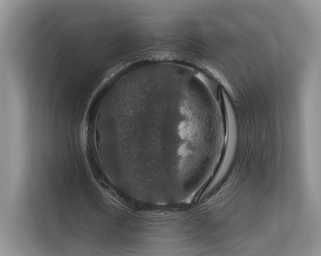 X0000112750722200908201417