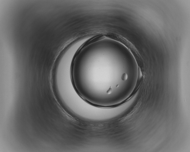 X0000112750725200908201417
