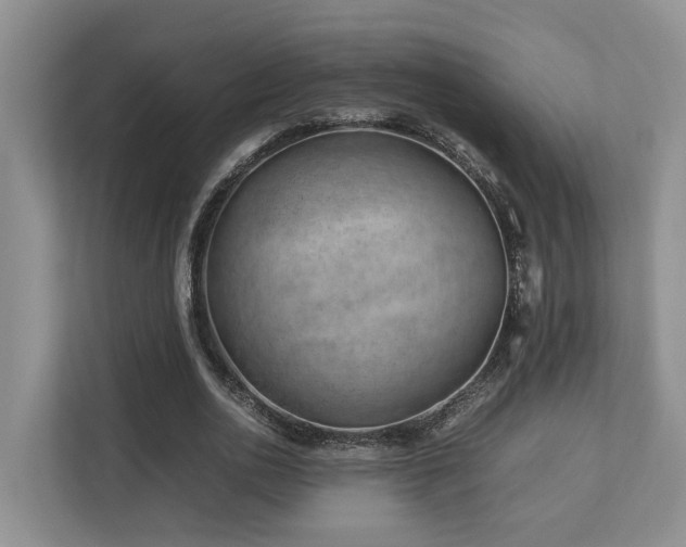 X0000112750726200908201417