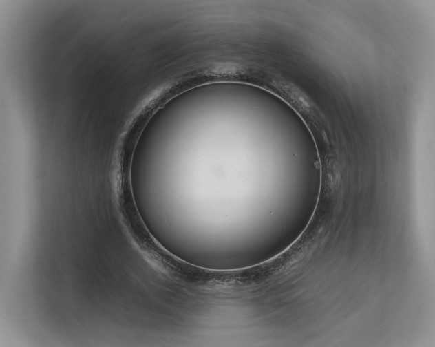 X0000112750728200908201417