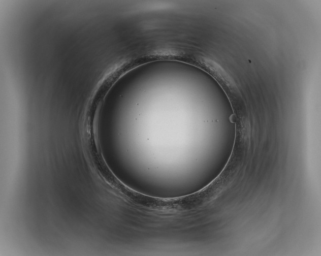 X0000112750731200908201417