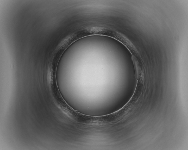 X0000112750732200908201417