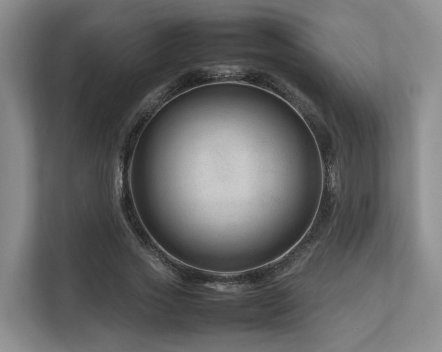 X0000112750733200908201417