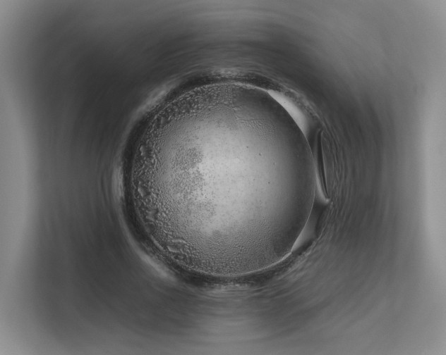 X0000112750734200908201417