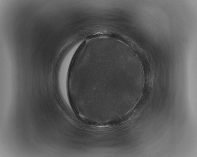 X0000112750735200908201417