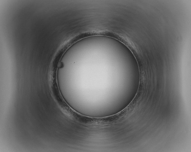 X0000112750736200908201417