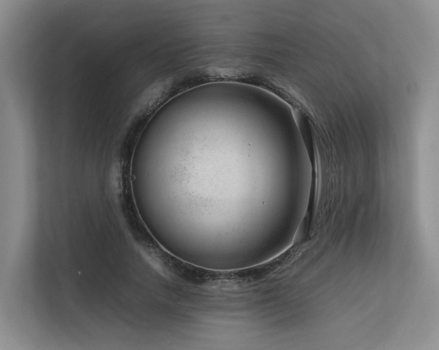 X0000112750738200908201417