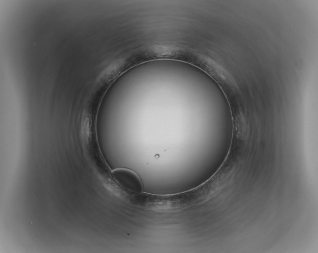 X0000112750740200908201417