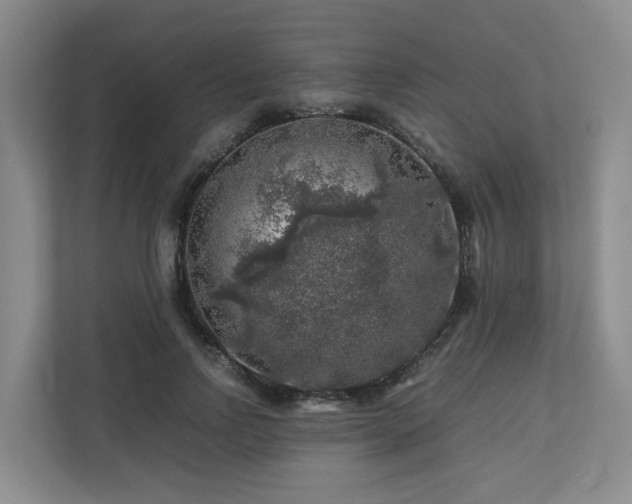 X0000112750742200908201417
