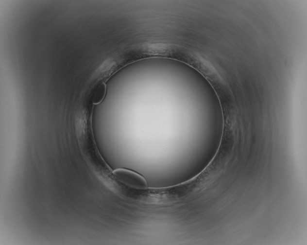 X0000112750744200908201417