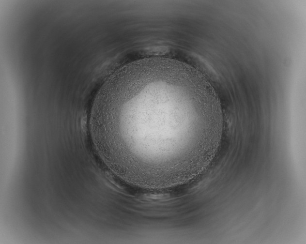 X0000112750745200908201417