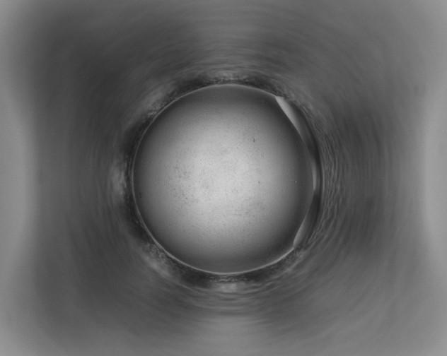 X0000112750746200908201417