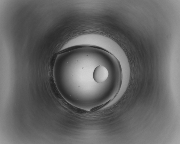 X0000112750752200908201417