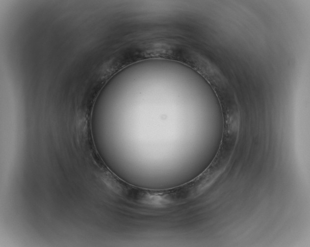 X0000112750753200908201417
