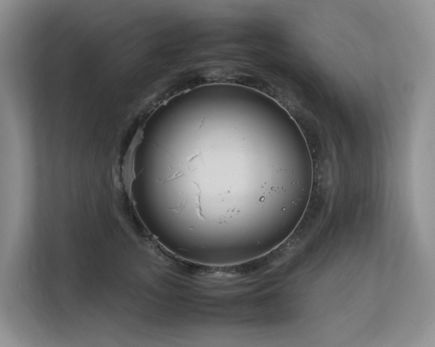 X0000112750755200908201417