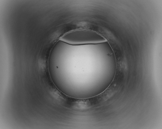 X0000112750756200908201417