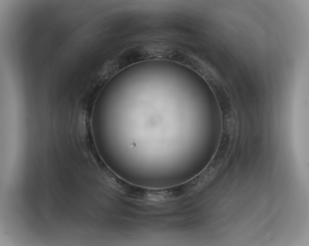 X0000112750757200908201417