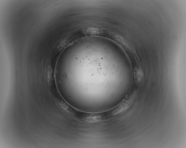 X0000112750760200908201417