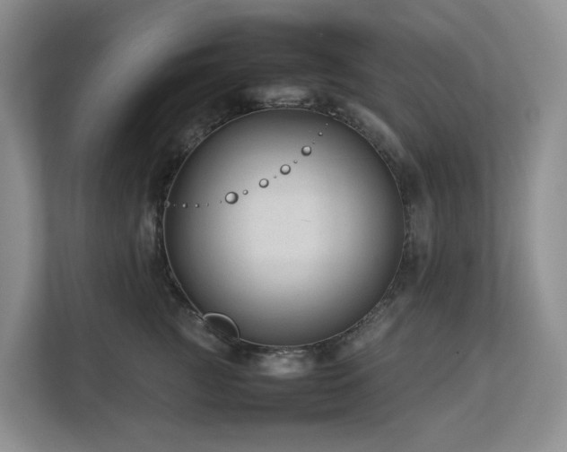 X0000112750761200908201418
