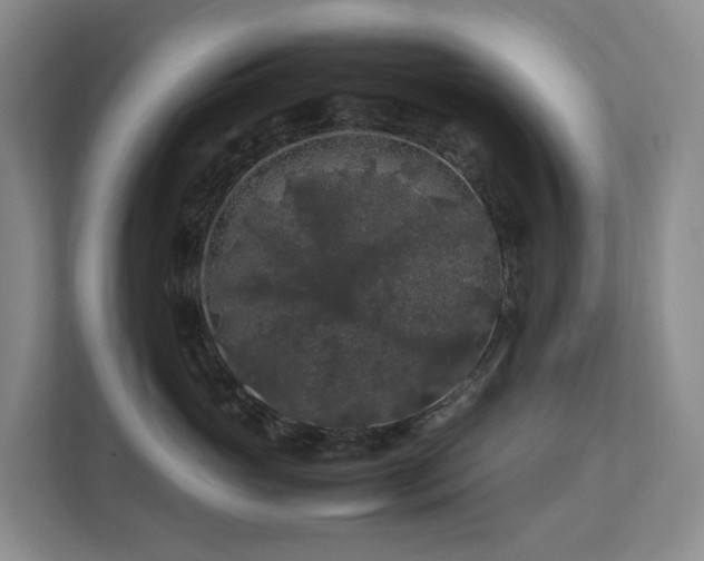 X0000112750765200908201418