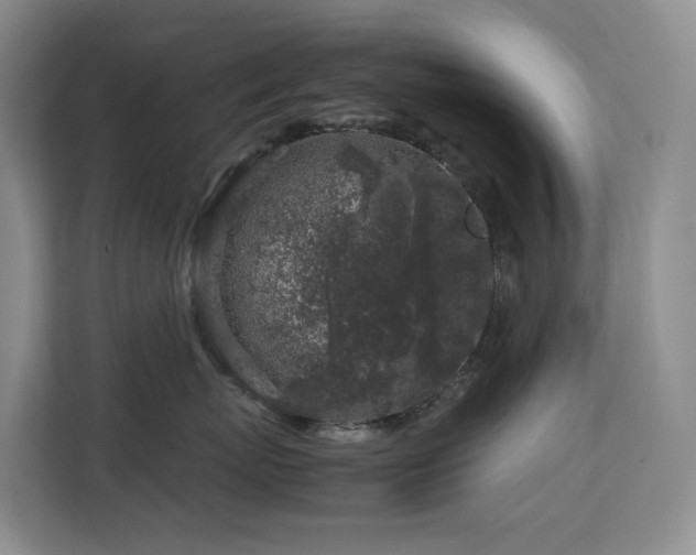 X0000112750767200908201418