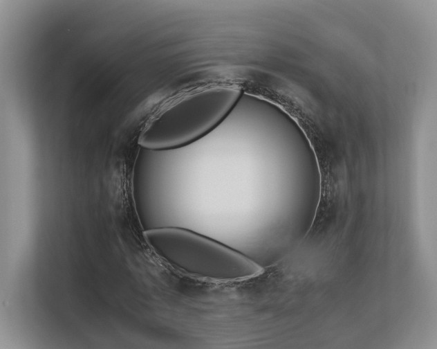 X0000112750773200908201417