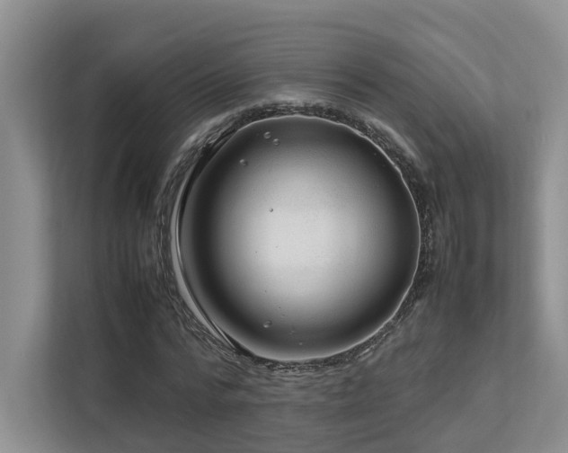 X0000112750776200908201417