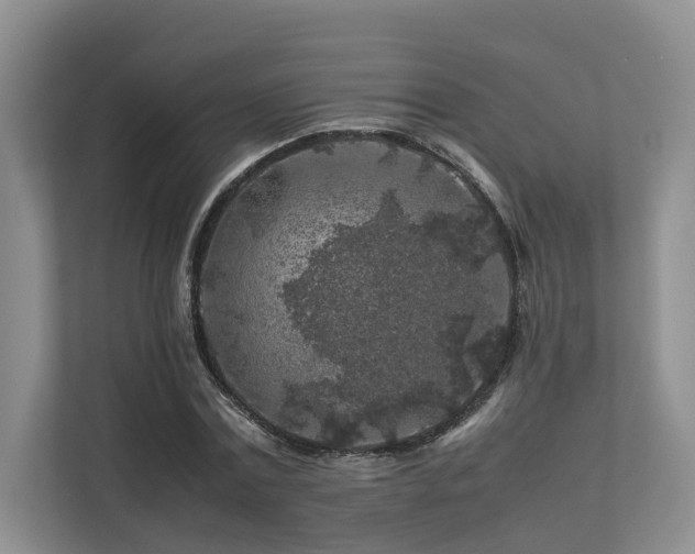 X0000112750779200908201417