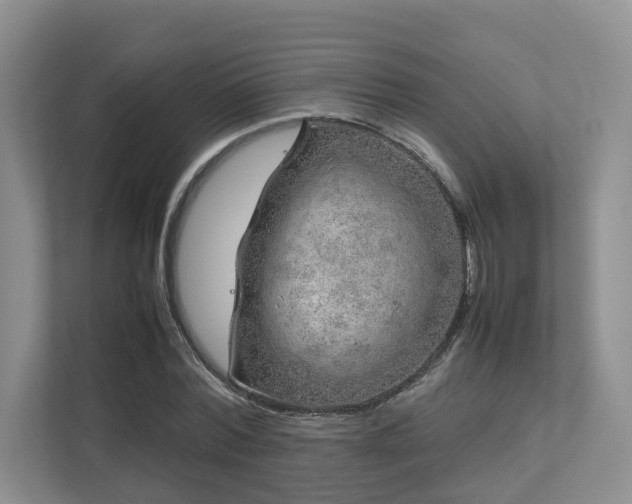 X0000112750780200908201417