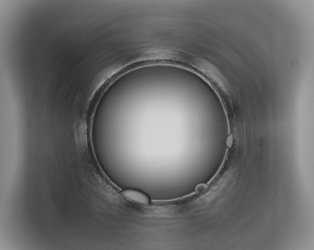 X0000112750781200908201417