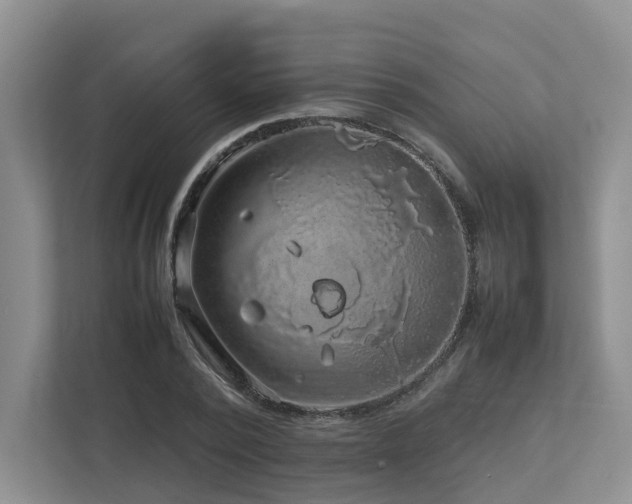 X0000112750784200908201417