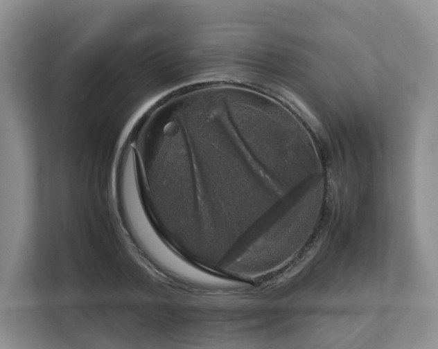 X0000112750788200908201417