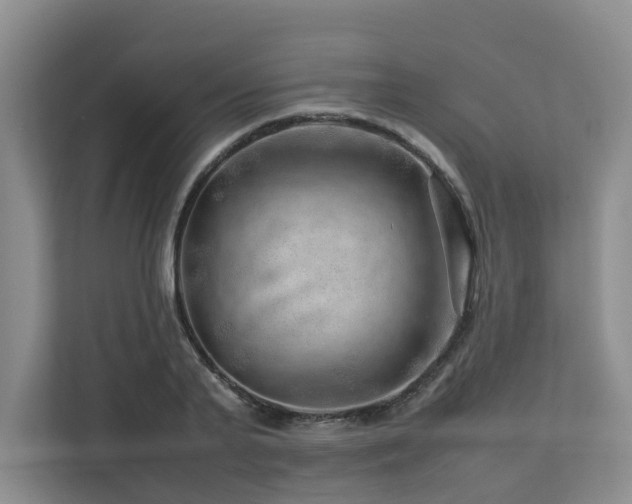 X0000112750791200908201417
