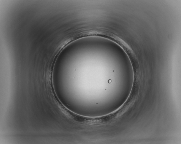 X0000112750793200908201416