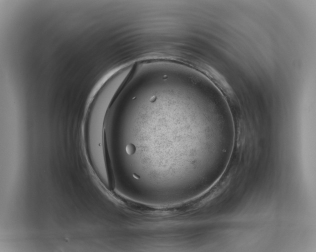 X0000112750796200908201416