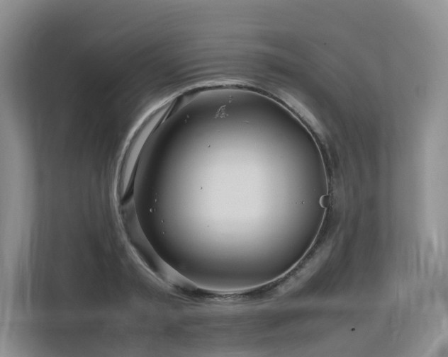 X0000112750797200908201416