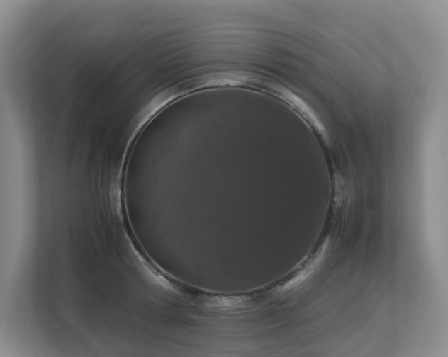 X0000112750802200908201416