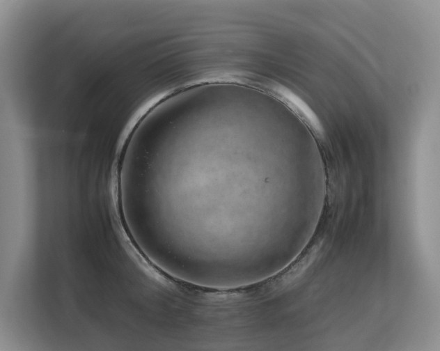 X0000112750804200908201416