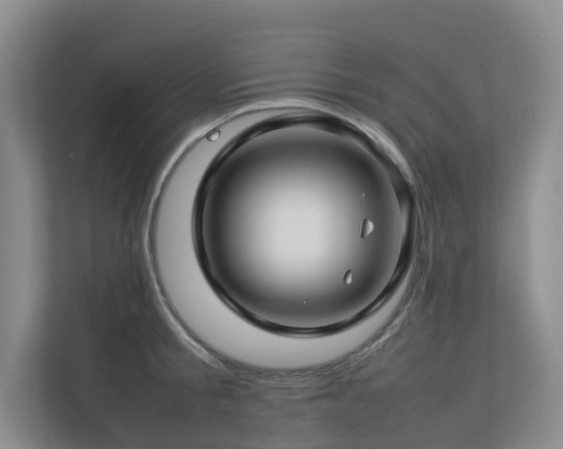 X0000112750805200908201416