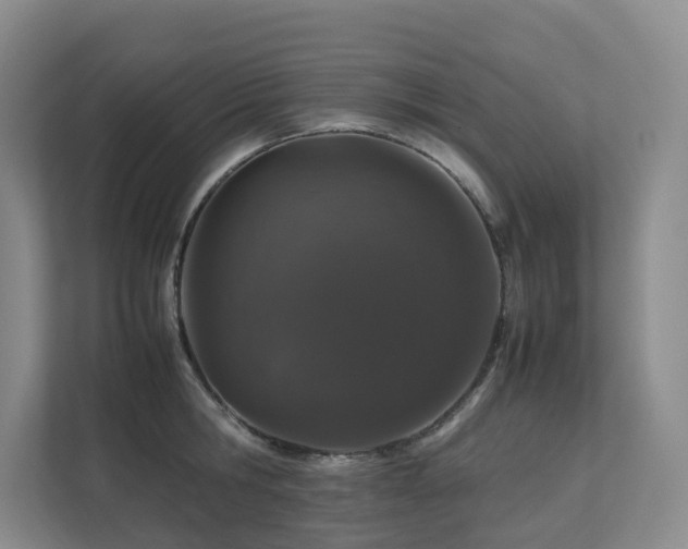 X0000112750806200908201416