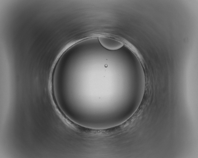 X0000112750811200908201416