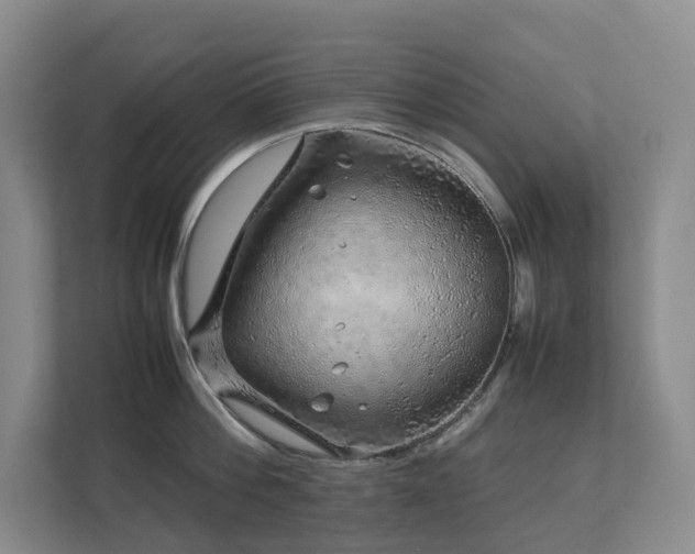 X0000112750812200908201416