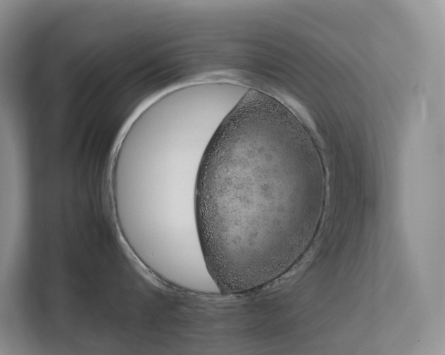 X0000112750816200908201416
