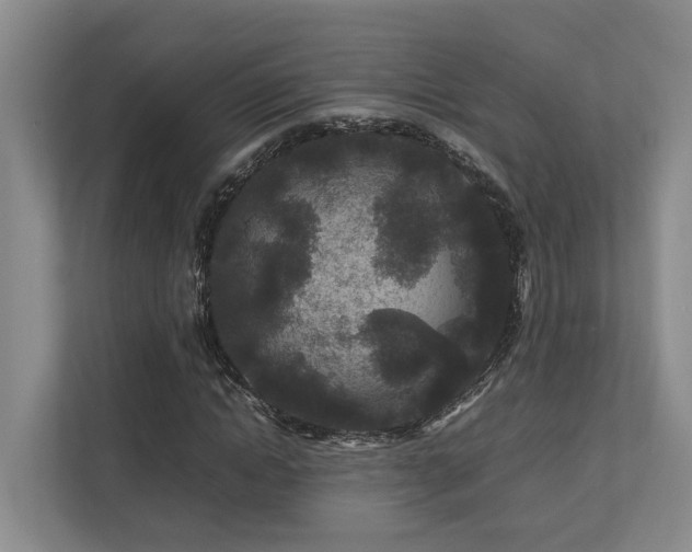 X0000112750822200908201416
