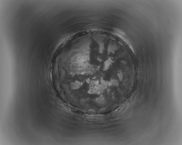 X0000112750823200908201416
