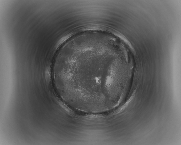 X0000112750826200908201416