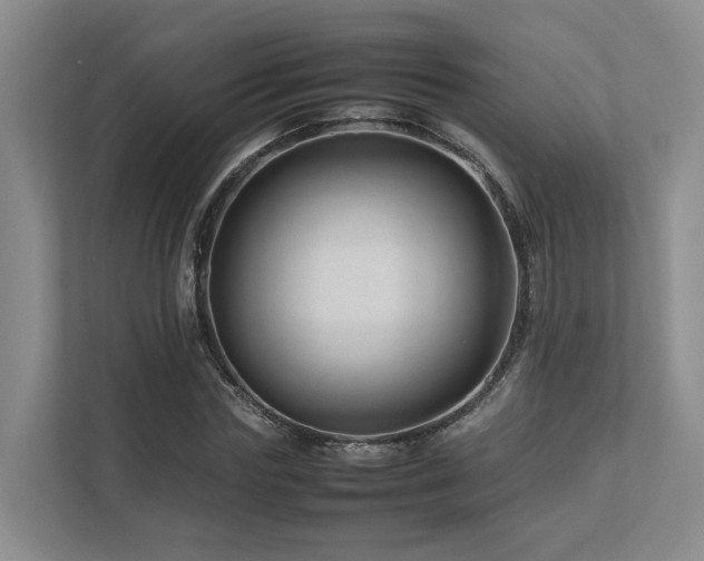 X0000112750827200908201416