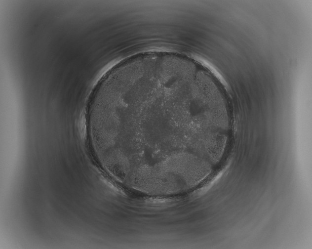 X0000112750829200908201416