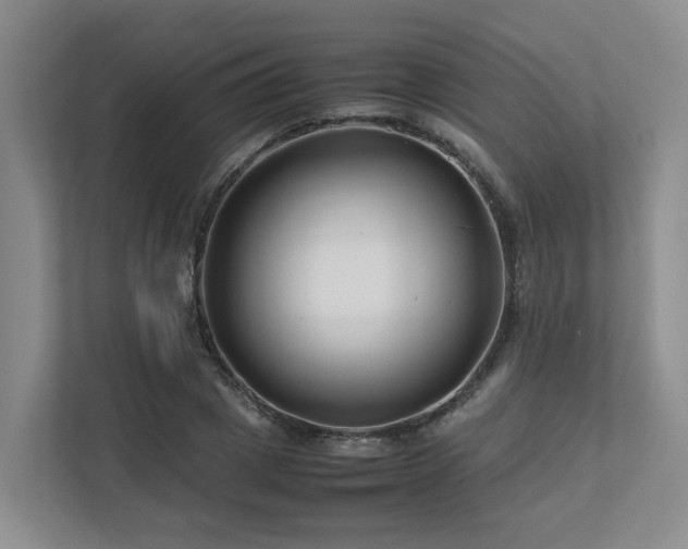 X0000112750833200908201416